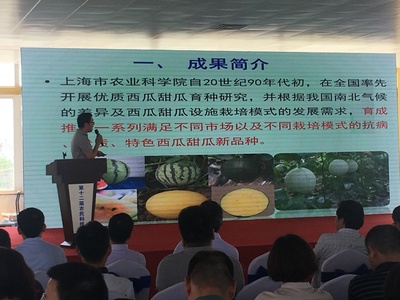 浦東第十二屆農(nóng)民科技節(jié)開幕，初夏時節(jié)聚焦農(nóng)業(yè)信息咨詢