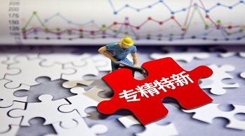 專精特新小巨人企業(yè)的認(rèn)定條件