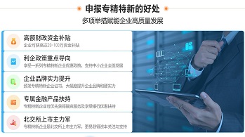 廣東專(zhuān)精特新企業(yè)申報(bào)條件